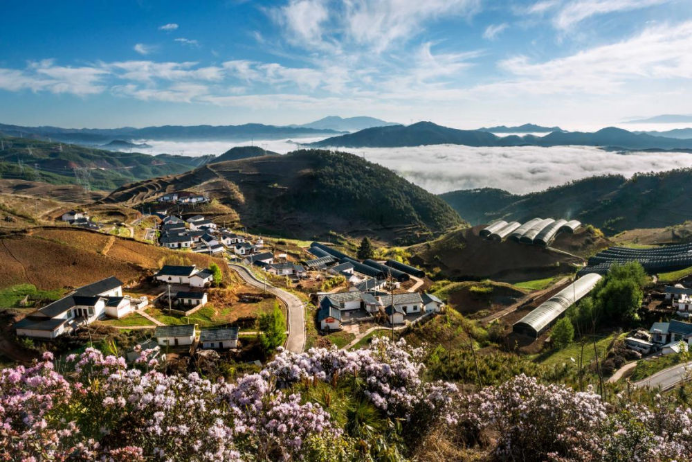 10 米乐M6官网电气集团科技兴农 助力凉山火普村打造数字乡村804.png